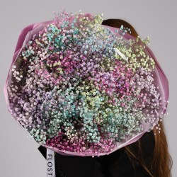 Букет из 15 веток радужной гипсофилы